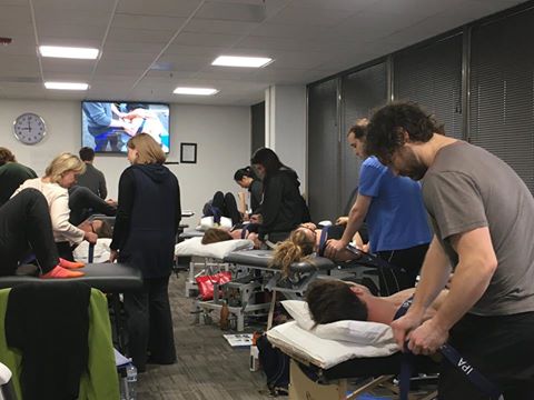 DG pt 1 Oak Brook Body Gears Hosted an Institute of Physical Art (IPA) Education Course