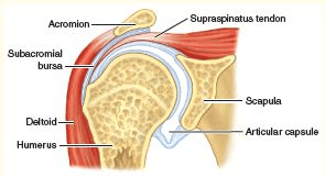 5 Shocking Secrets People Who Avoid Shoulder Surgery Know* Blog Post 5 Shocking Secrets People Who Avoid Shoulder Surgery Know*