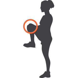 Knee Pain